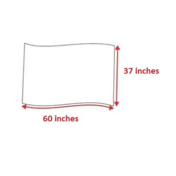 Raptors Flag - Picture 2 of 2